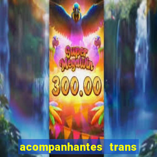 acompanhantes trans porto seguro